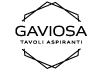 gaviosalogo