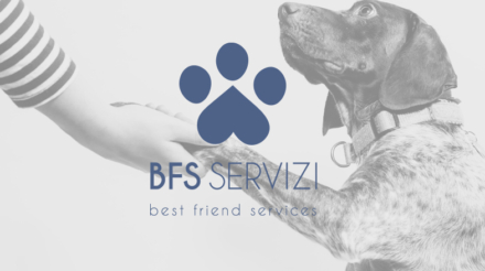 bfs-logo