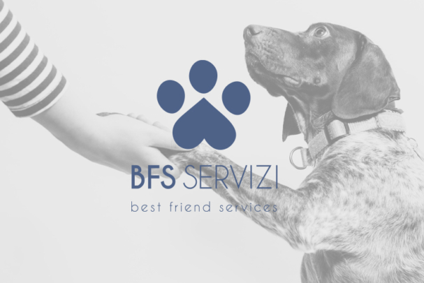 bfs-logo